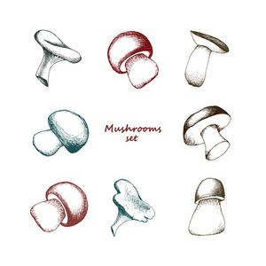 复古风潮下的匠心独运 水暖业务图标的矢量美学与品牌叙事